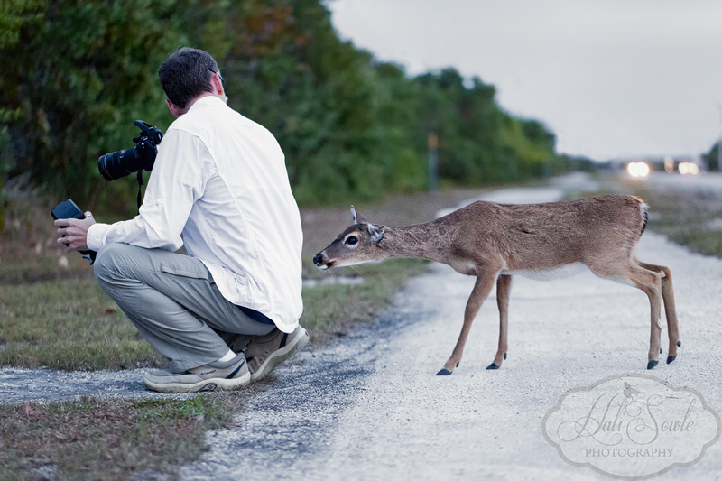 2013_03_13_FloridaKeys-10613-Edit800.jpg - One of those tiny key deer wondering if that nice guy in the white shirt had any treats hidden that it could sneak away with (the answer was no -- we don't feed wild animals).  Notice how it's standing on the tips of it's rear hooves just in case it had to make a quick get-away.