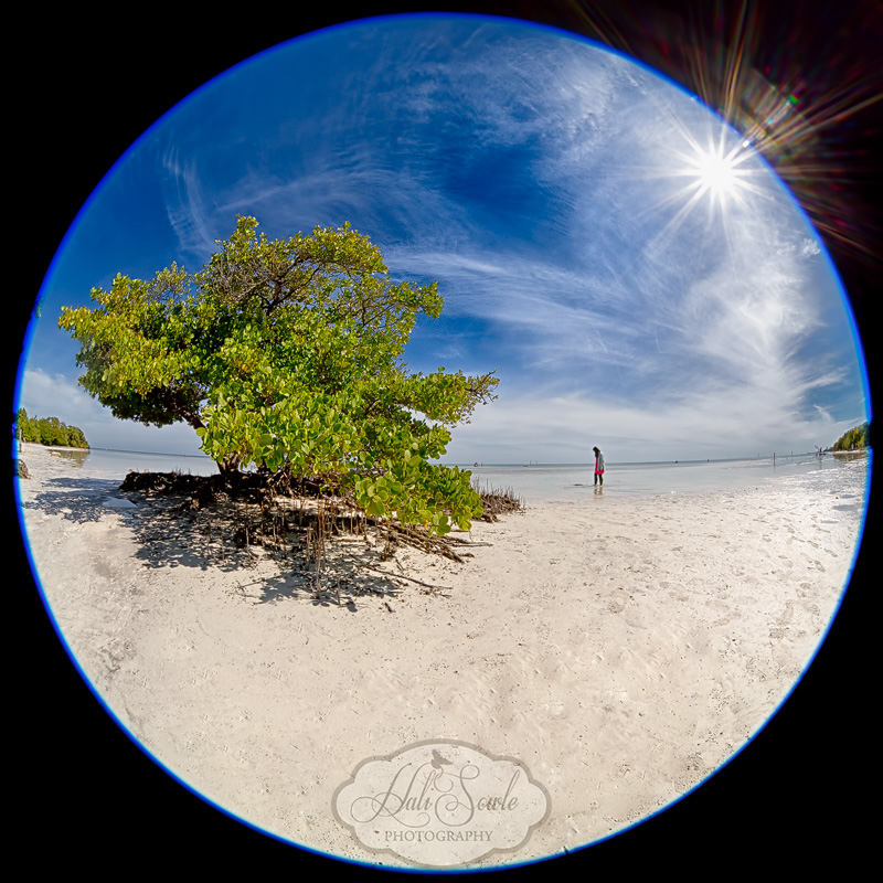 2013_03_14_FloridaKeys-11049_HDR_Edit800.jpg - A visitor to Anne's Public Beach enjoying the warm water on a cool morning.