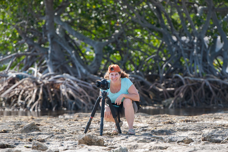 _JIM0174a.jpg - There is a cool mangrove area on Scout Key that gets exposed at low tide...