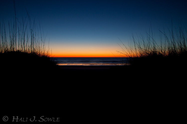 2011_04_06_StAugustine-10004-Web.jpg - The sun rises later in Florida than it does in Rhode Island, which meant I could be up 45 minutes before sunrise to catch the beautiful color from the dunes above the beach in St. Augustine and not try to work my camera on less than 5 hours sleep.