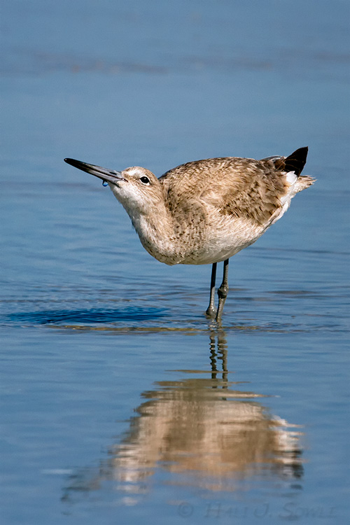 2011_04_06_StAugustine-10750-Web.jpg - Near the Guana River State Park.