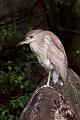 2011_04_07_StAugustine-10356-Web