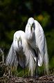 2011_04_07_StAugustine-10599-Web