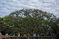 2011_04_08_StAugustine-10055-Web