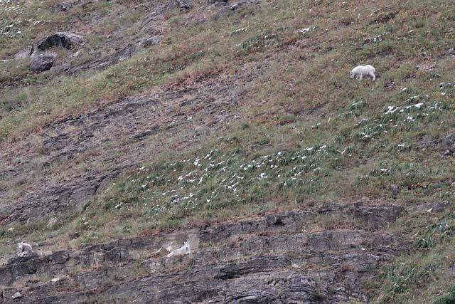 b04_2006_09_Glacier0072