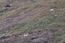 b04_2006_09_Glacier0072