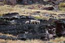 e10_2006_09_Glacier0791