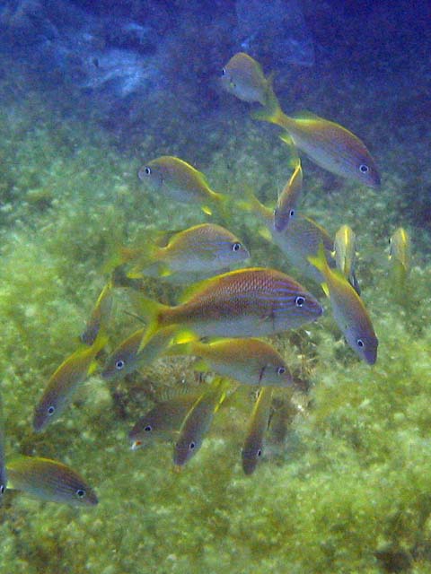 2006_04_06_GLN-039_C