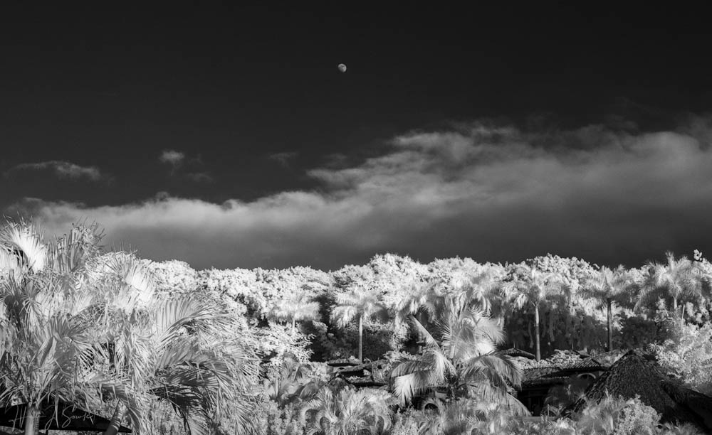 2018_11_SandalsGrenada-10022-Edit1000.jpg - 3/4 moon rising over the resort.  Our visit coincided with the full moon but the afternoons before it was full saw the waxing gibbous rise in the afternoon making for a good Infrared image.