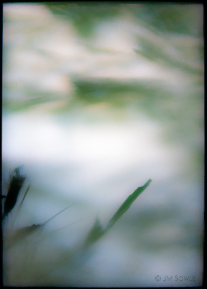 _MS00422RS.jpg - There was a translucent window in the room that displayed abstract shapes from the plantings outside.