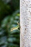 2018_11_SandalsGrenada-10073-Edit1000