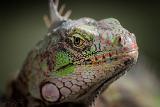 2018_11_SandalsGrenada-13630-Edit1000
