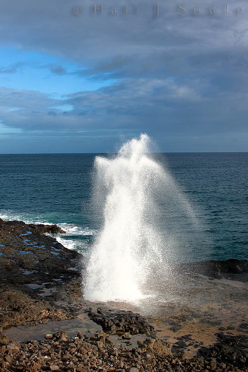 2009_09_28_Hawaii-588.jpg - An eruption from spouting horn, unfortunately it wasn't high tide so the spout wasn't very high.