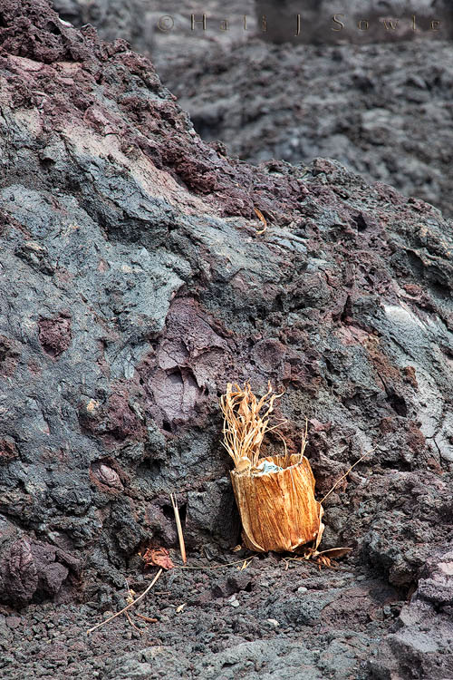2009_10_02_Hawaii-10219.jpg - There were several lookouts along the Chain of Craters Road.  At one such lookout we saw this offering to Madame Pele.