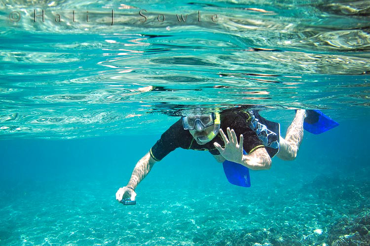 2009_10_08_Hawaii-10279.jpg - Mike snorkeling at Kalahu'u beach.
