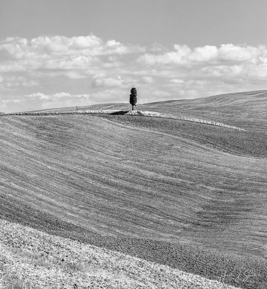 2017_09_14_Italy-10050-Edit1000-2.jpg - The harvest was in, the hills were plowed over and waiting for the next crop to be sowed in.  A single tree stands waiting by the road in the distance