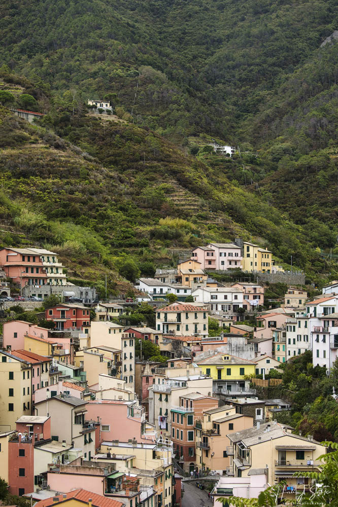 2017_09_15_Italy-10247_Edit1000.jpg - The main street of Riomagiorre and the vineyards in the hills above.