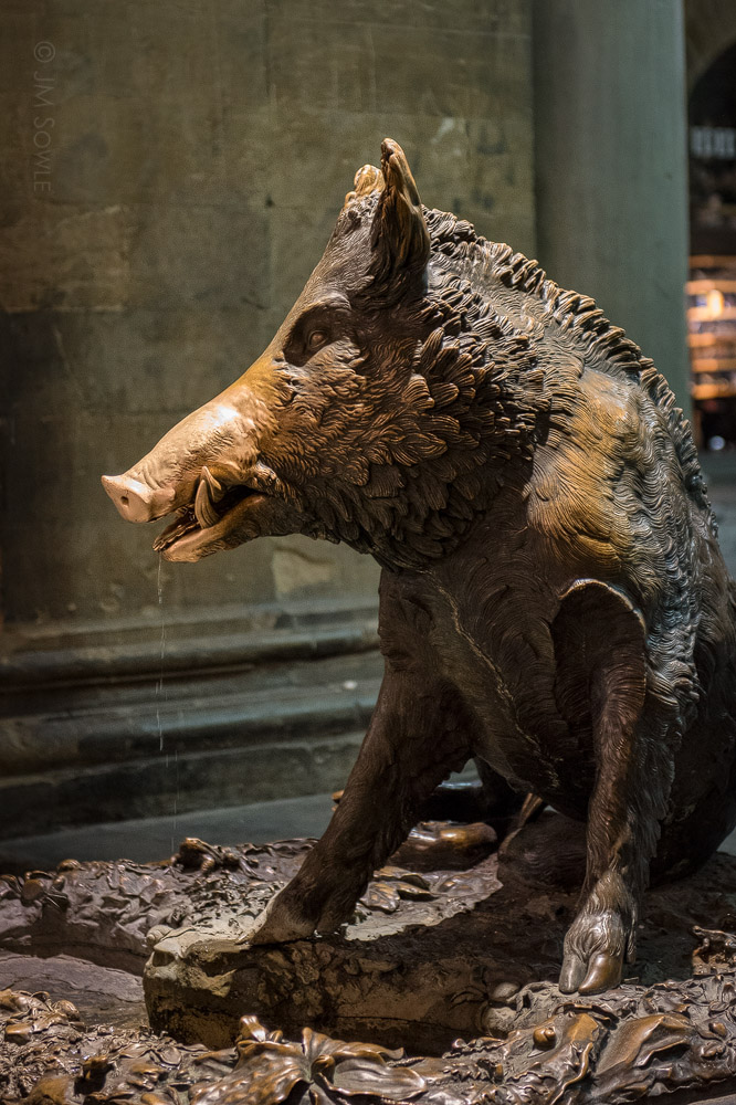 MIK_0629.jpg - Il Porcellino (Italian "piglet") is the local Florentine nickname for the bronze fountain of a boar.  This is a modern copy (cast in 1998 and then replaced in 2008) of a figure that was sculpted and cast by Petro Tacca shortly before 1634.  Why is the snout so polished looking?  The legend says that rubbing the snout will ensure a return to Florence.