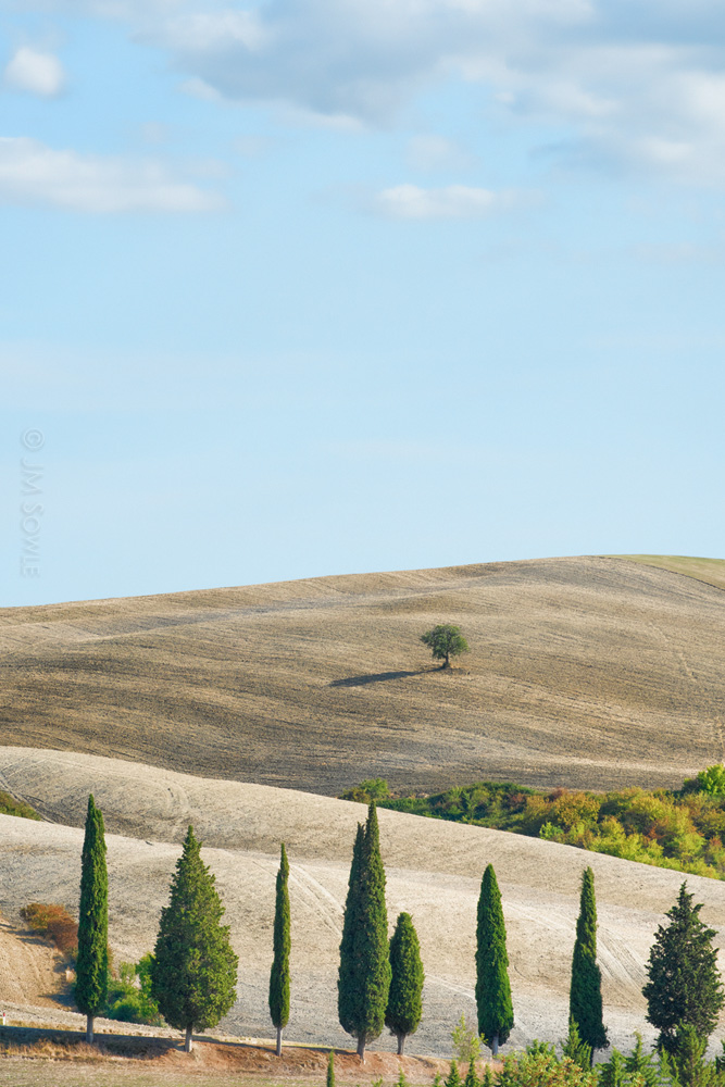 _JMS0813.jpg - Montepulciano.
