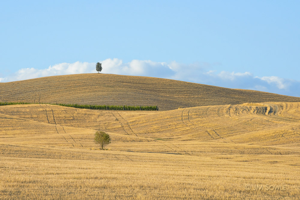 _JMS0848.jpg - Montepulciano.