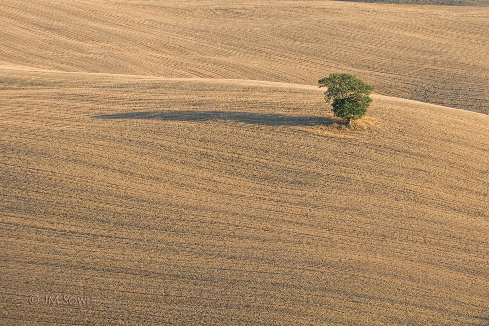 _JMS0883.jpg - A slightly different look at that same hillside.  This is perhaps one one of my favorite images from this trip.