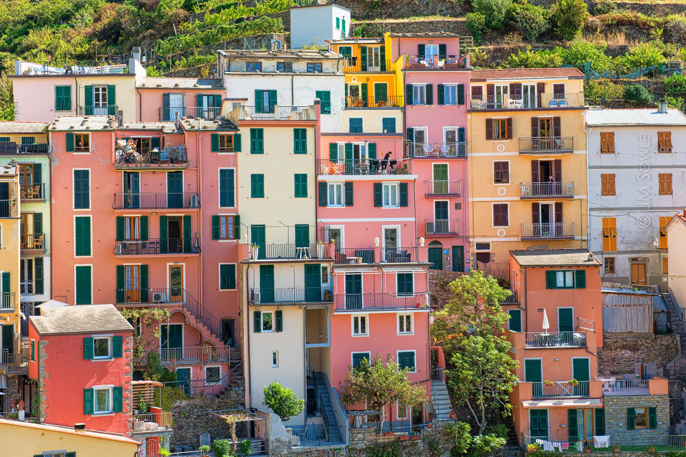_JMS1376.jpg - We took pictures of more than just the harbor in Manarola.
