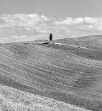 2017_09_14_Italy-10050-Edit1000-2