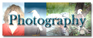 Photography