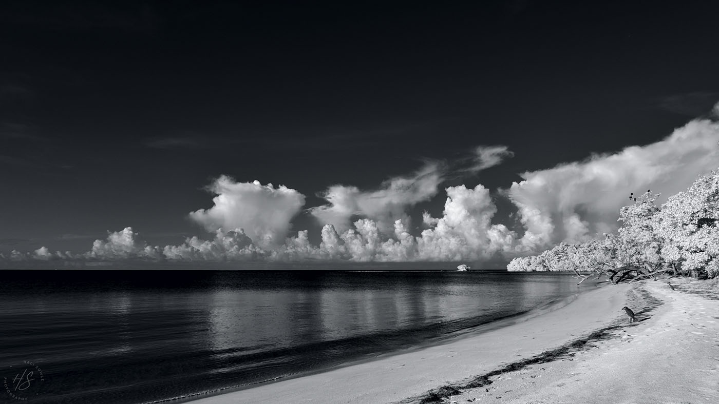 2019_09_Sandals-SouthCoast-10625-Edit1000.jpg - Infrared shot of the beach, the heron and the beautiful Caribbean sea.