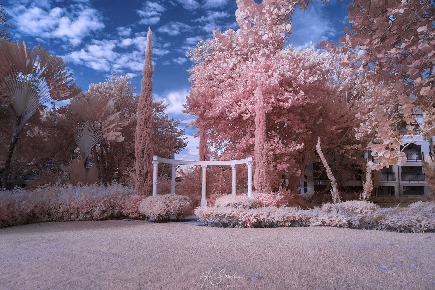 2019_09_Sandals-SouthCoast-10890-Edit1000.jpg - Faux color infrared from an early morning walk.
