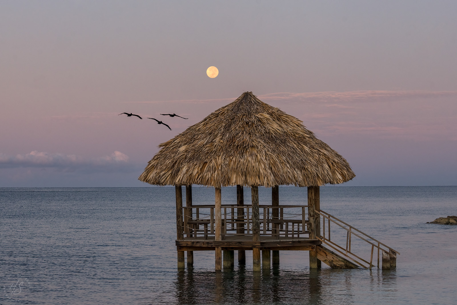 2021_09_SandalsSouthCoast-10308-Edit1600.jpg - The full moon setting just after sunrise with some Pelicans flying through.
