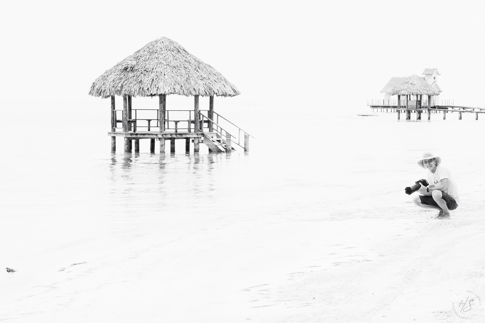 2021_09_SandalsSouthCoast-10749-Edit1600.jpg - What to do in the middle of a beautiful day on the beach in Jamaica after a squall passes through?  Lets take our cameras out and see if the Frigate Birds are still around!  No frigate birds, but I did catch Mike taking some pictures of the always entertaining Ruddy Turnstones.