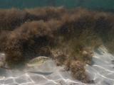 2021_09_SandalsSouthCoast_GoPro-10229-Edit1600