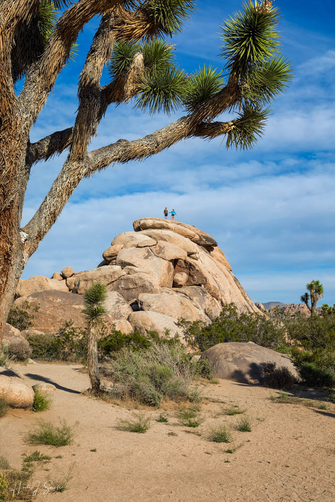 2017_05_SanDiegoandJoshuaTree-10601-Edit1000.jpg - A father and daughter on top of Quail Springs rock, a popular trad rock climbing area.  No rock climbing for them, they scrambled up the back side.