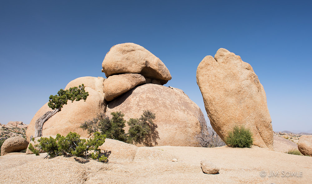_JMS1040.jpg - It's amazing what a change in perspective can show you.  This is the very same boulder and juniper tree shown in the previous image, but photographed from a very different perspective.  You would have never known if I hadn't told you.