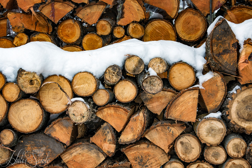 2016_01_10_Montana-10750-Edit1000.jpg - Winter firewood at the Triple D.