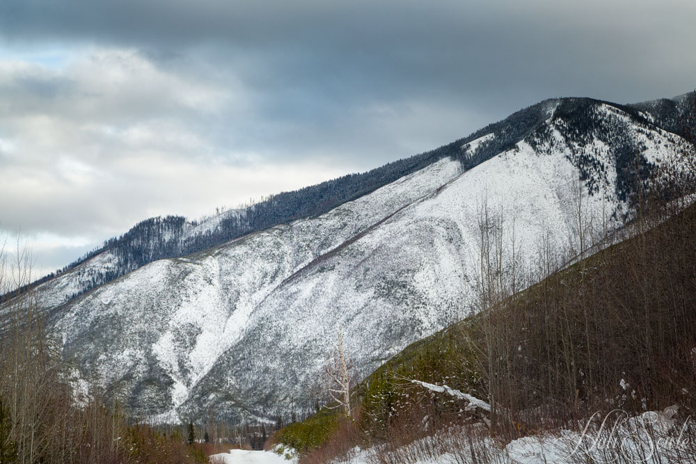 2016_01_11_Montana-10653-Edit1000.jpg - I am not sure if this shot is of the Livingston Range or the Whitefish Range, it was taken from the North Fork Road along the Flathead River near Glacier National Park.