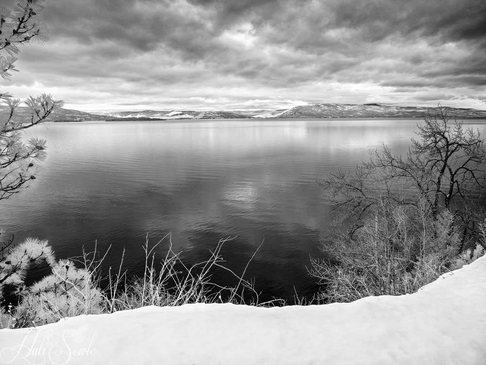 2016_01_12_Montana-10007-Edit1000.jpg - The next day brought the usual clouds and snow and cold temperatures and we ventured south from Kalispell towards the National Bison Range.  This is an Infrared of from the eastern shore of Flathead Lake.