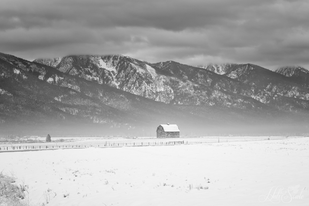 2016_01_12_Montana-10081-Edit1000-BW.jpg - We drove by this barn, covered in snow and looking deserted nestled in the foothills  of the Superstition Mountains.  It was 11:30 in the morning but a layer of frozen fog still blanketed the valley areas.