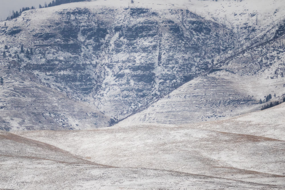 2016_01_13_Montana-10239-Edit1000.jpg - The day after our trip to the National Bison Range we ventured down the western portion of Flat Head Lake and headed to Koo-Koo-Stint where we had heard that there were big horn sheep that could often be seen from the pull out along the highway.  The weather was not very cooperative with gray skies and intermittent snow but we drove down there in hopes of seeing them.  We didn't see any sheep despite driving up and down the road numerous times.  However the winter landscapes were again striking and provided some nice abstracts.