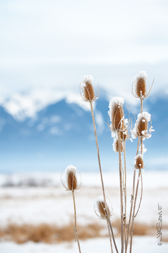 _JIM0444C2.jpg - Nine-pipe National Wildlife Refuge