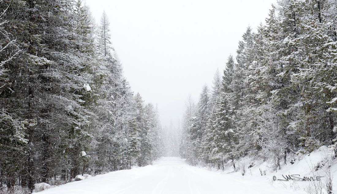 _JIM0537.jpg - It was our last day shooting and we wanted to drive out to Tally Lake.  Tally Lake Road is a pretty little road with an occasional home along the way.  By the time we had reached the point with even more remote homes, it was starting to look like we needed more vehicle than we had.  We turned around when the powder on the road got too deep.  Just about then we took this picture.