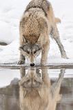 _JMS2593_C2