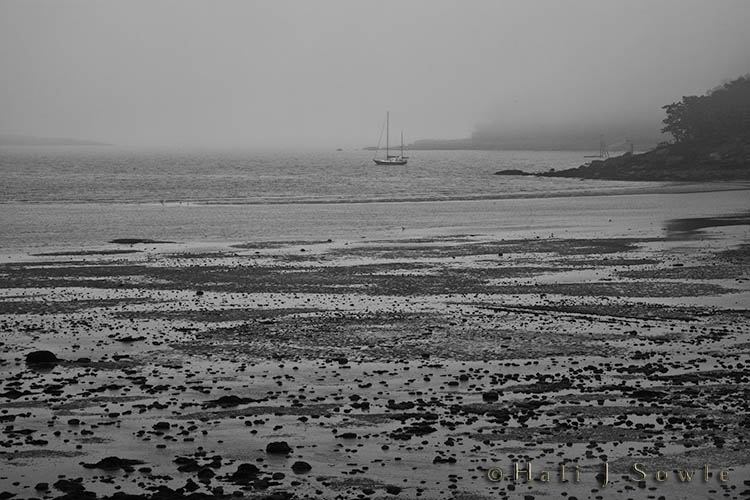 2009_06_28_Maine-3-Edit-Edit.jpg - As we left Rockport, Maine on our way to Jonesport we passed a pullout on route 1 with picnic tables.  With the fog and rain we were the only ones there but it gave us a wonderful view of the bay.  Low tide here is really really low, not low like Bay of Fundy low, but still the water was pulled out close to a 1/4 of a mile.