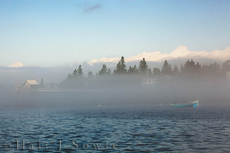 2009_06_30_Maine_-781-Edit-Edit.jpg - Coming back into Jonesport the fog was just beginning to lift giving us a glimpse of blue sky overhead.  The tide had also dropped about 15 feet as it went out!