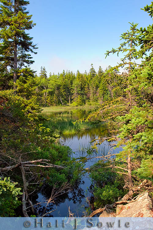 2009_06_30_Maine_-930-Edit-Edit.jpg - We saw this beautifully still small pond across from the bay.  It's hard to believe that right behind us the bay was being obscured by fog.