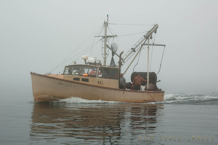 _DSC0002.jpg - The "Old Salt" was our unofficial escort as we headed out of Jonesport for the Puffin tour on Machias Seal Island. The fog, calm water, and lack of other vessels, all made everything seem a little eerie. Perhaps 06:30 was a little late for most fishing boats!