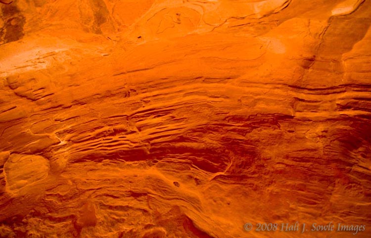 2008_09_03_Moab_197.jpg - The texture of the sandstone rock from a wall within the Fiery Furnace