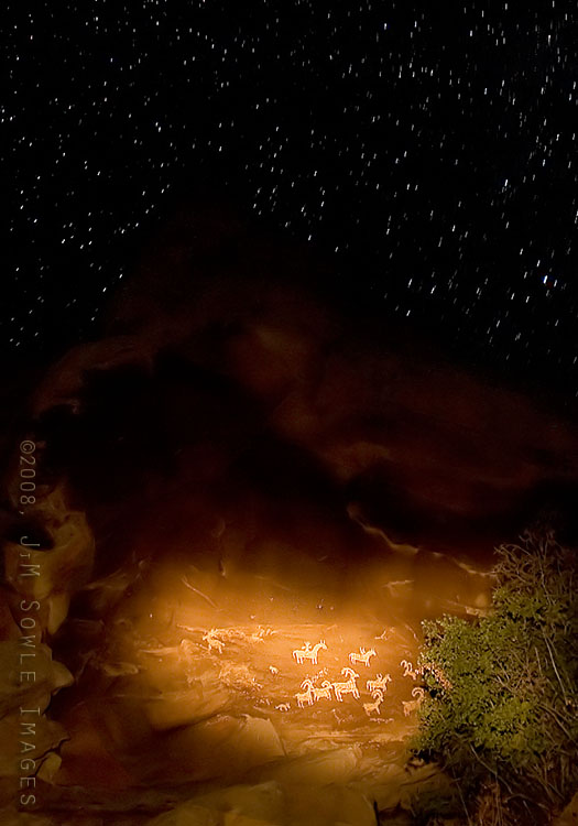 _DSC0575.jpg - It was a beautiful evening as we hiked down from Delicate Arch, so we decided to try a new photographic technique (new to us).  "Light painting" is when you create a long-exposure image, and then use a light source to "paint".  Here we tried this technique out on the wonderfully unmolested Petroglyphs near Wolfe Ranch.  The stars appear blurry because the exposure was so long that the stars moved a little.  We'll be better at it the next time!