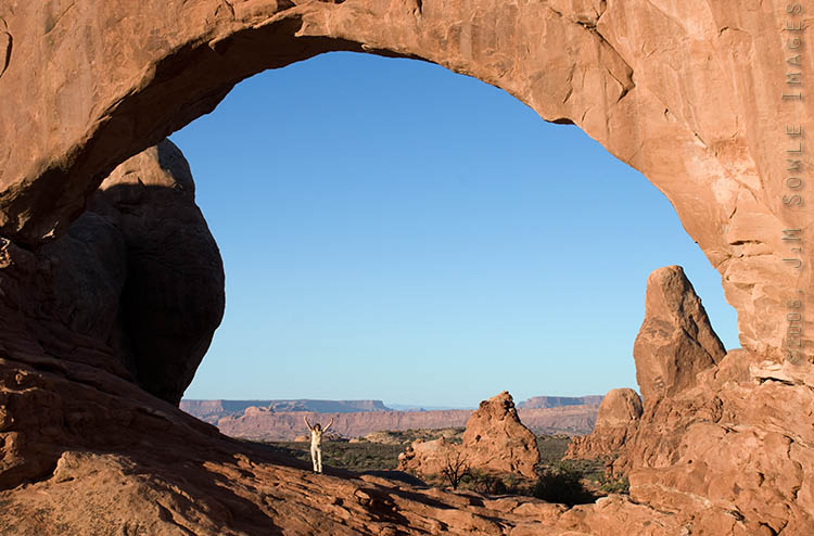 _JMS0924.jpg - A rock opening must be at least 3 feet to be classified as an "Arch".  As Hali is showing in this image, the North Window Arch easily makes it.